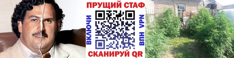 Виды наркотиков купить Томмот СК  Мефедрон  Псилоцибиновые грибы  Конопля 
