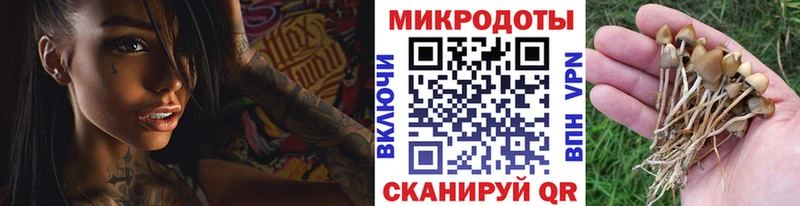 купить  сайты  Томмот  Псилоцибиновые грибы MAGIC MUSHROOMS 